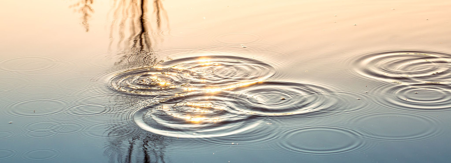 Heilpraktiker Naturheilpraxis Augsburg