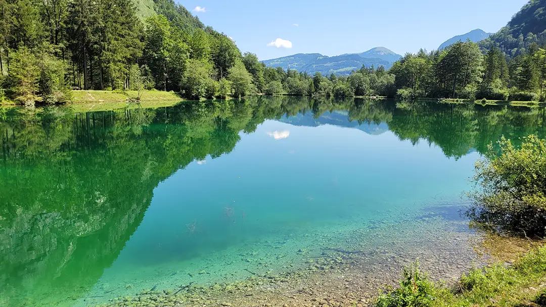 Naturheilkunde von Heilpraktiker aus Augsburg